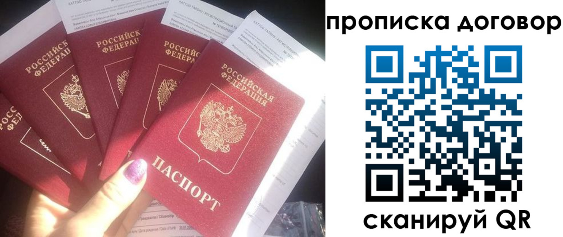 где прописаться в Сланцах