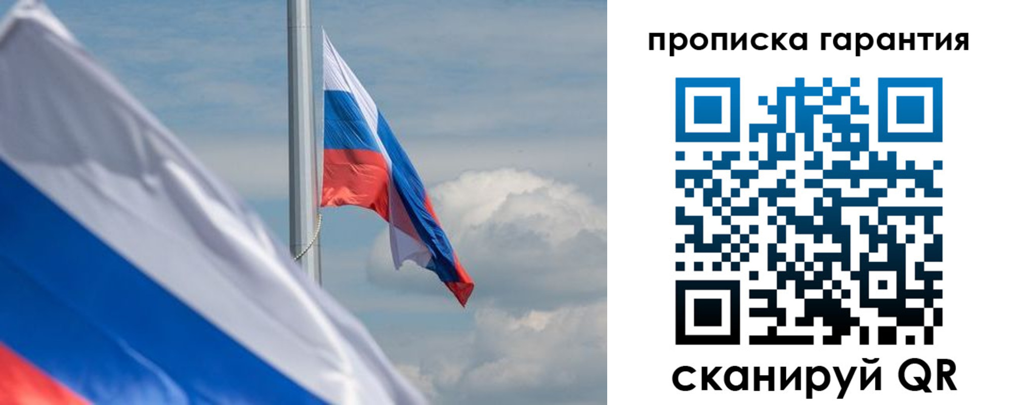 прописка поиск в Сланцах